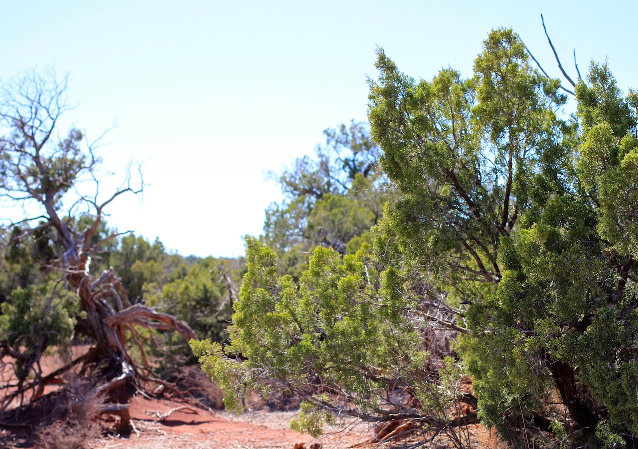 Tract 12 at Red Rock Ranch in Knox County, Texas