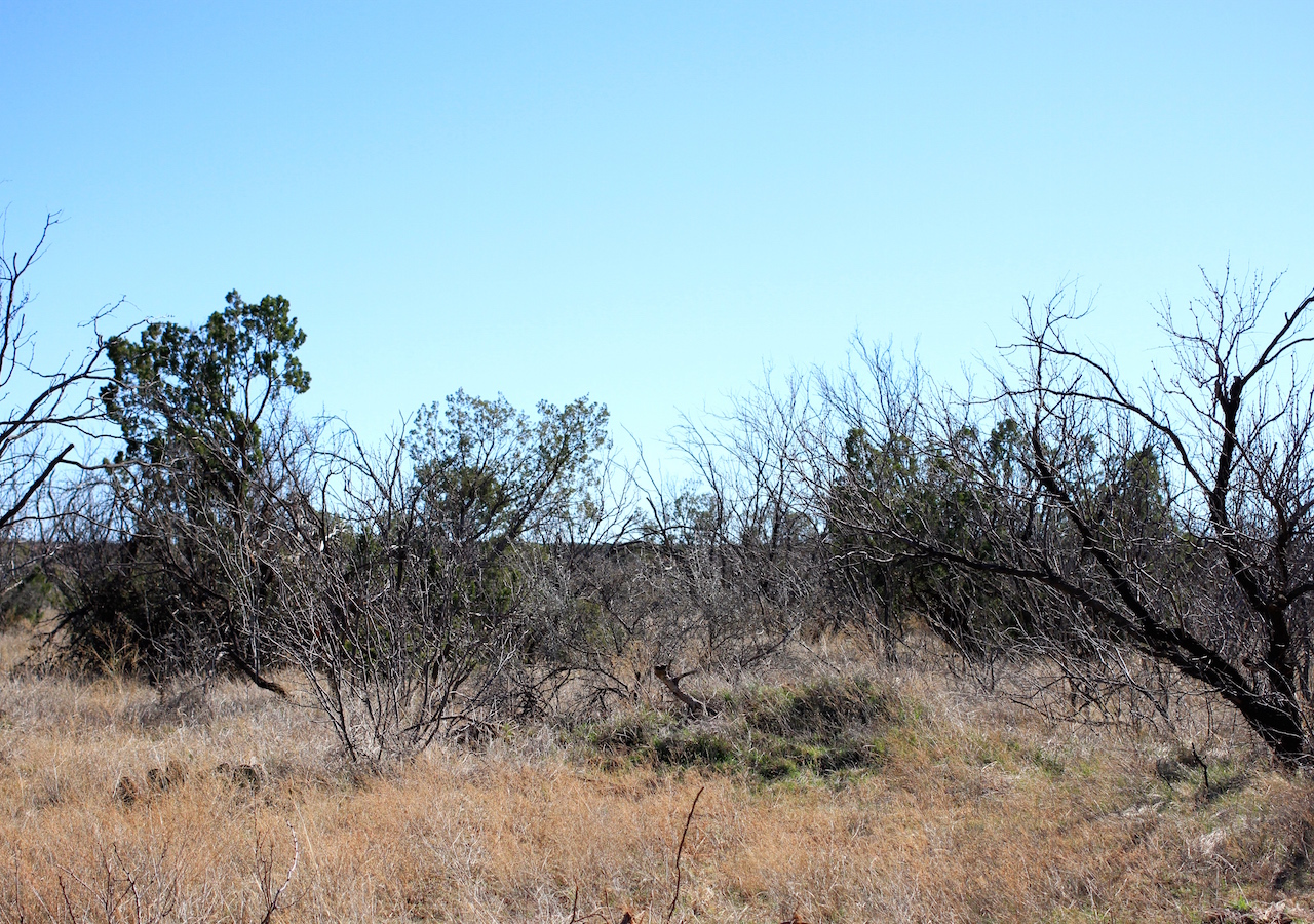 Tract 14 at Red Rock Ranch in Knox County, Texas