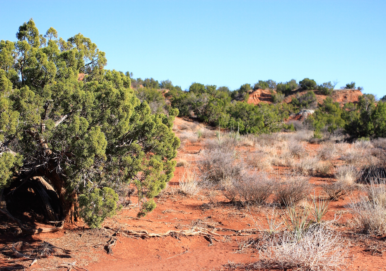 Tract 26 at Red Rock Ranch in Knox County, Texas