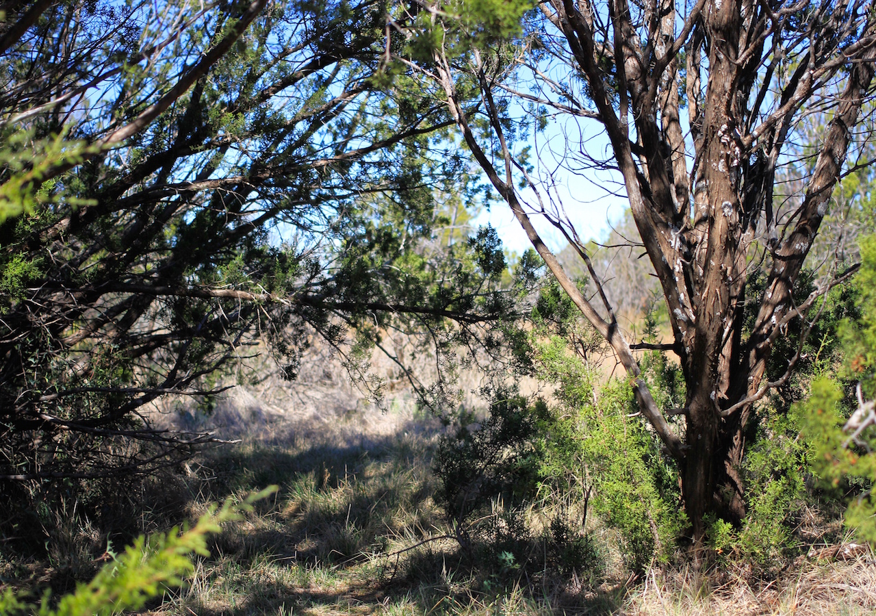 Tract 3 at Red Rock Ranch in Knox County, Texas