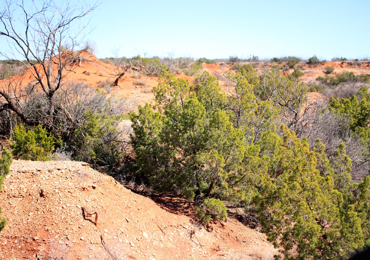 Tract 5 at Red Rock Ranch in Knox County, Texas